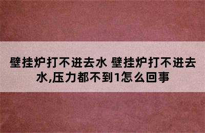 壁挂炉打不进去水 壁挂炉打不进去水,压力都不到1怎么回事